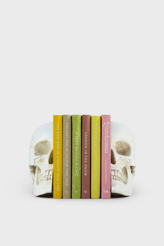 Skull Book Ends
