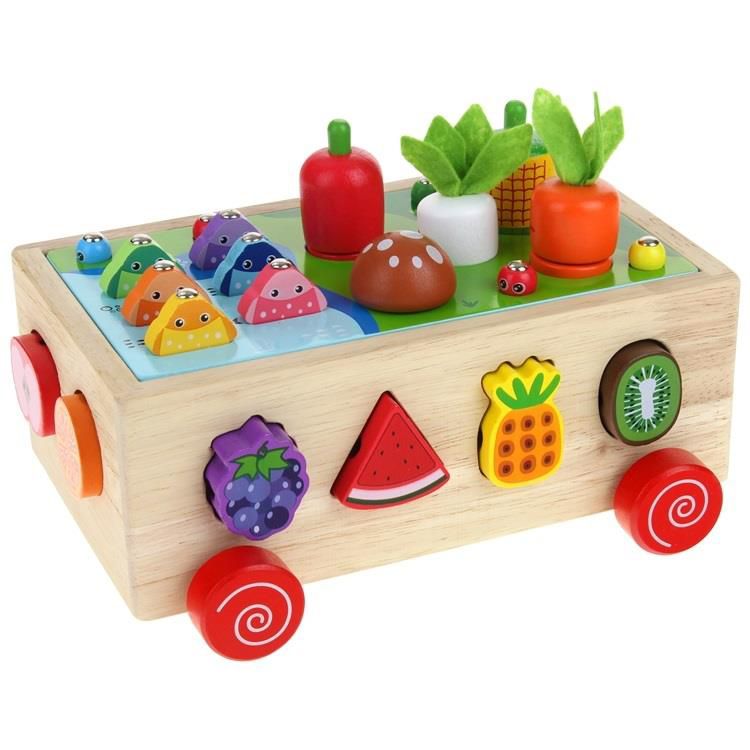 Montessori Pull-Along Toy