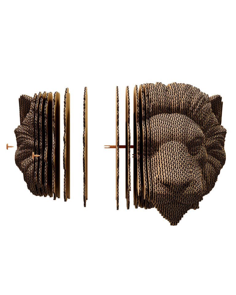 3D Wall Mountable Lion Cardboard Structure Puzzle