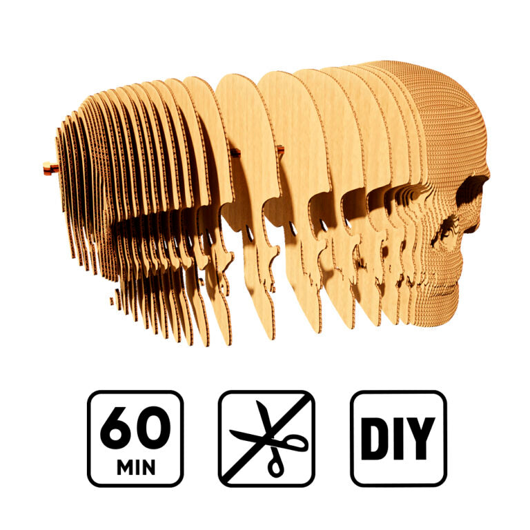 3D Skull Cardboard Structure Puzzle
