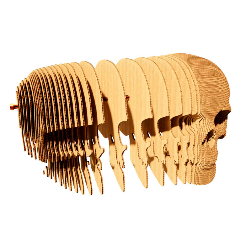 3D Skull Cardboard Structure Puzzle