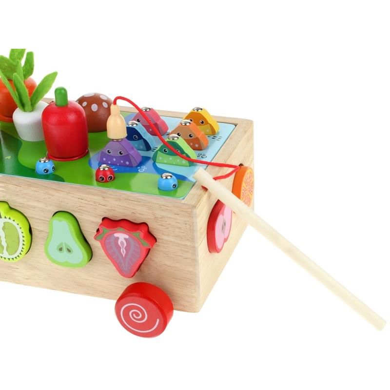 Montessori Pull-Along Toy