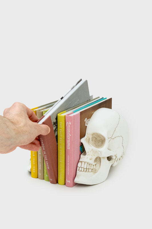 Skull Book Ends