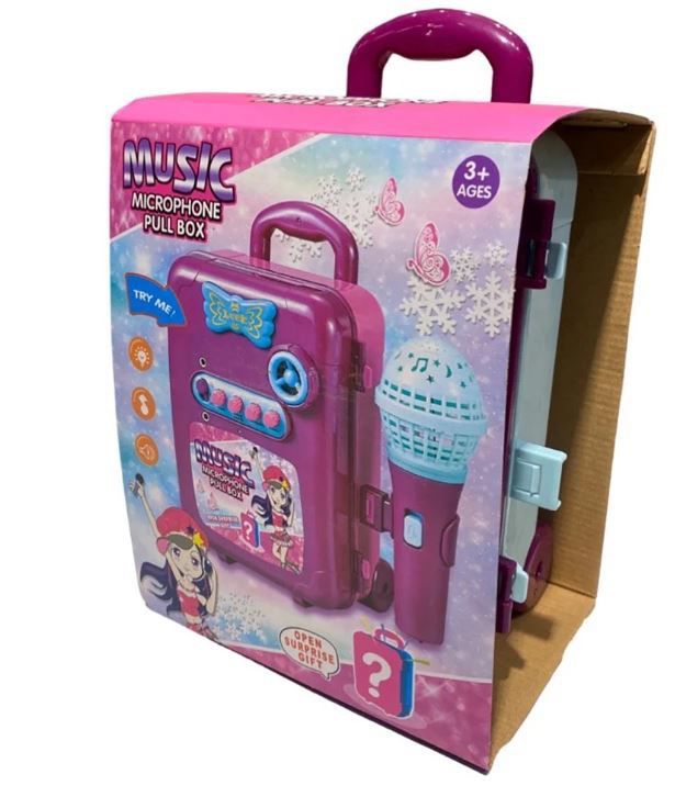 Kids’ Portable Karaoke Pull Box