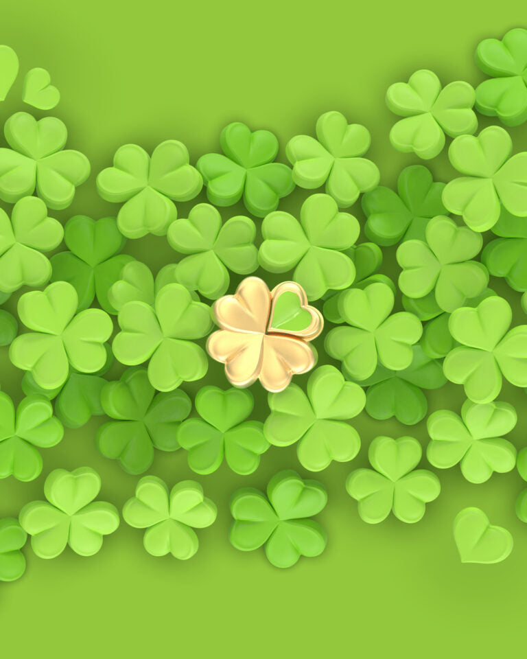 Stainless Steel Keyring - Lucky Clover