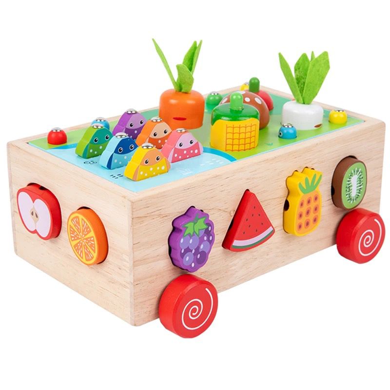 Montessori Pull-Along Toy