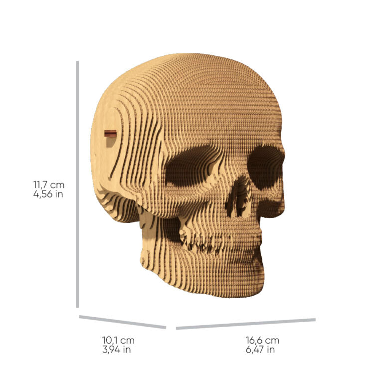 3D Skull Cardboard Structure Puzzle
