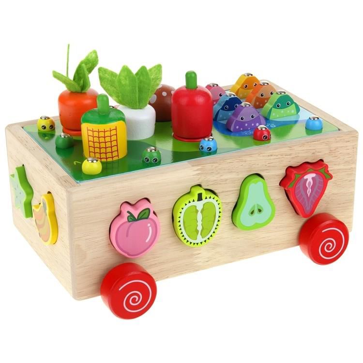 Montessori Pull-Along Toy