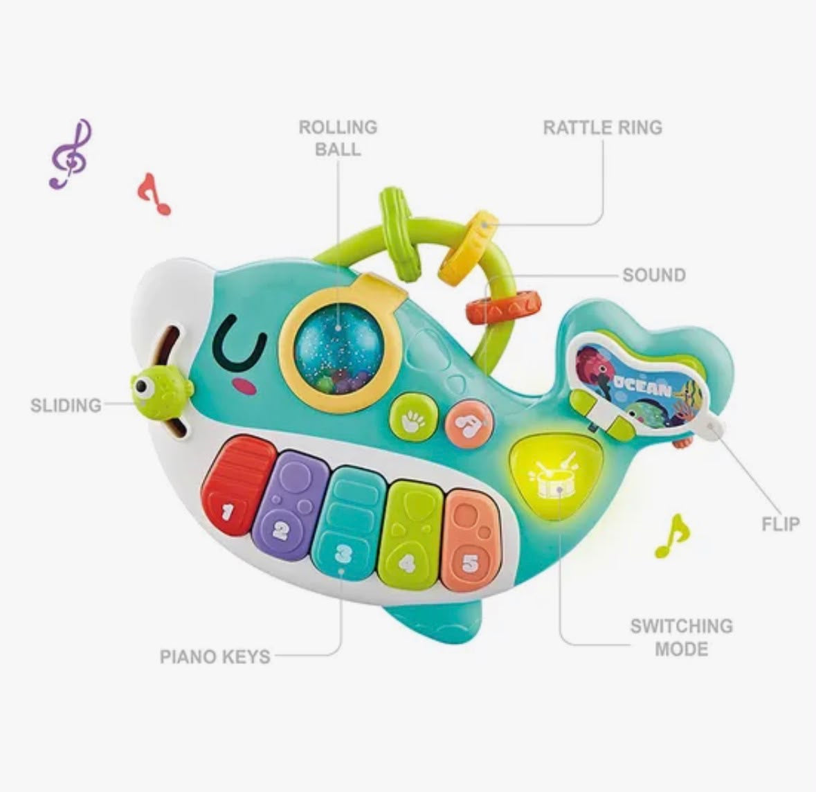 Baby Musician Whale Toy