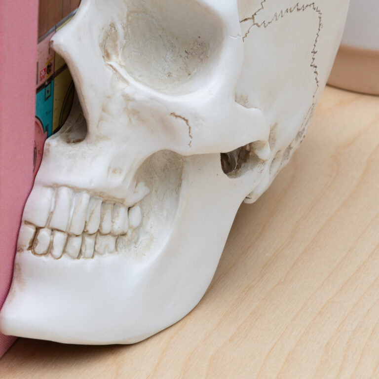 Skull Book Ends