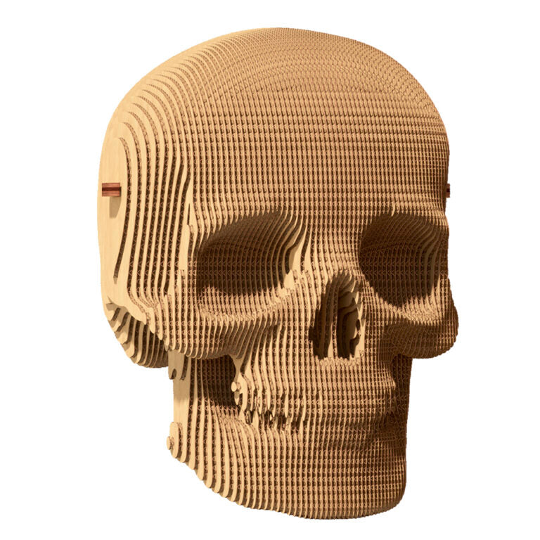 3D Skull Cardboard Structure Puzzle