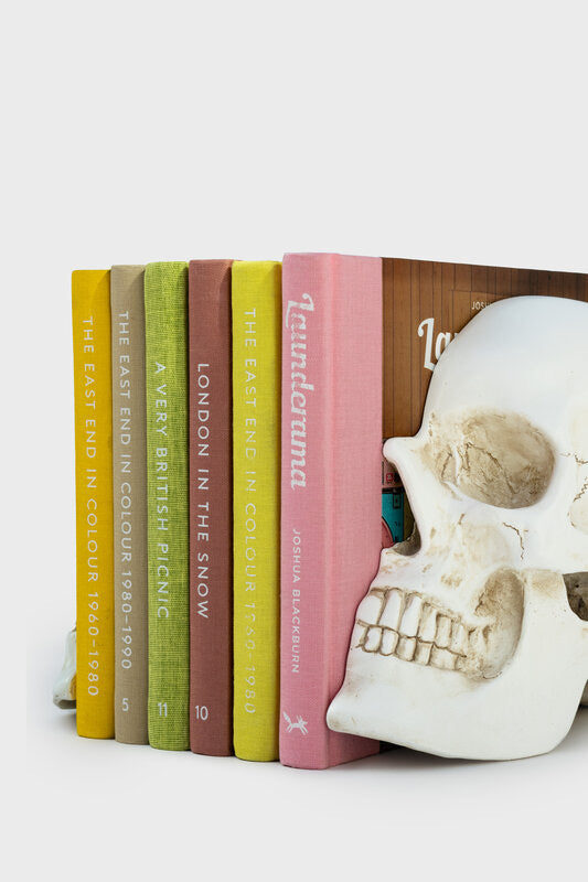 Skull Book Ends