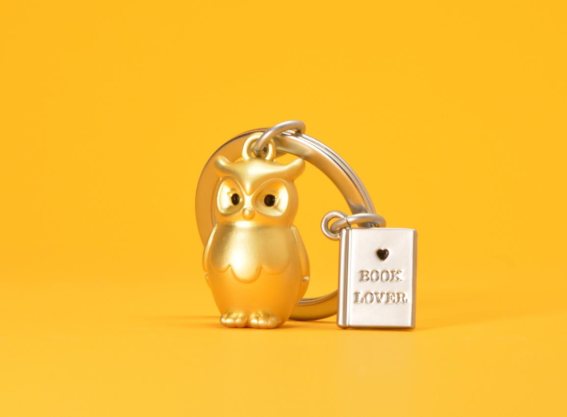 Stainless Steel Keyring - Owl & Book