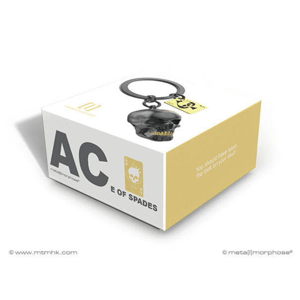 Stainless Steel Keyring - Skull