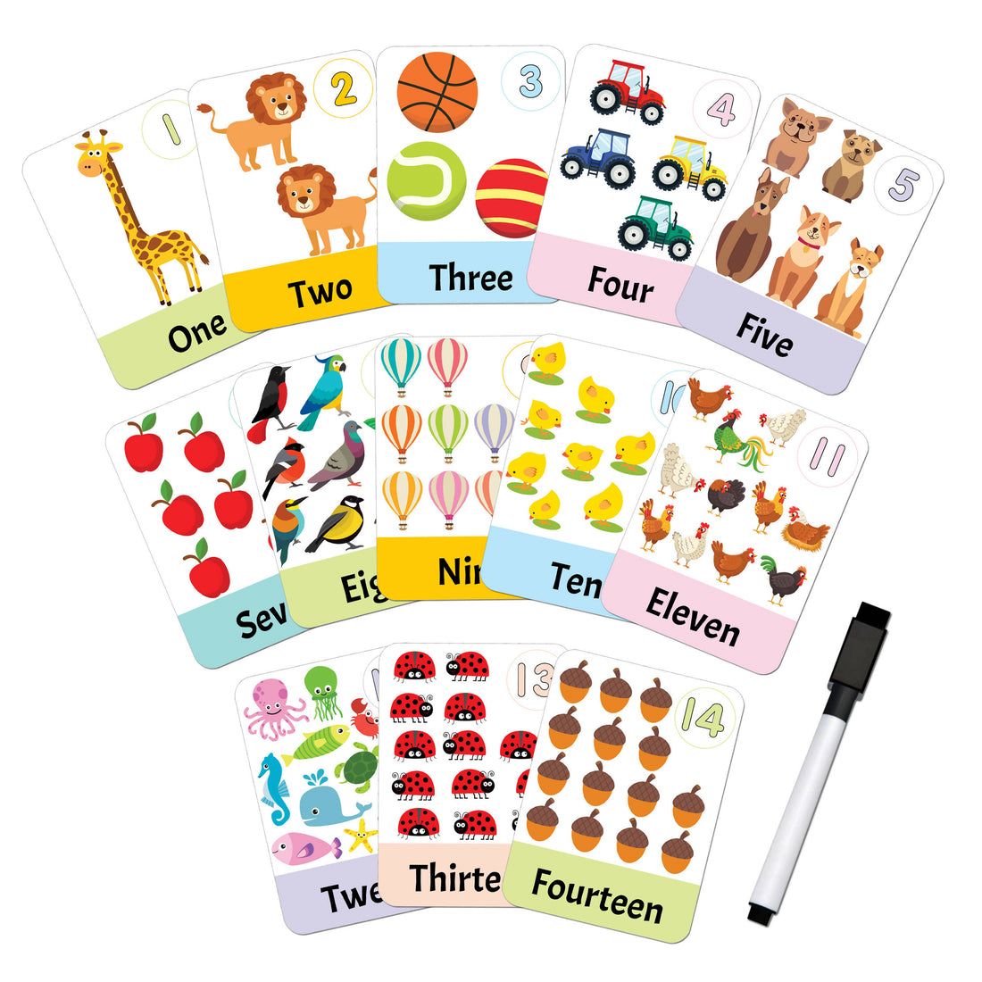 Numbers Flash Cards Wipe-Clean Learning Set
