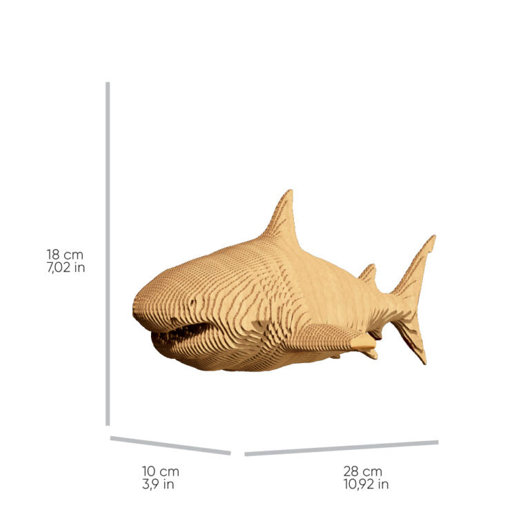 3D Shark Cardboard Structure Puzzle