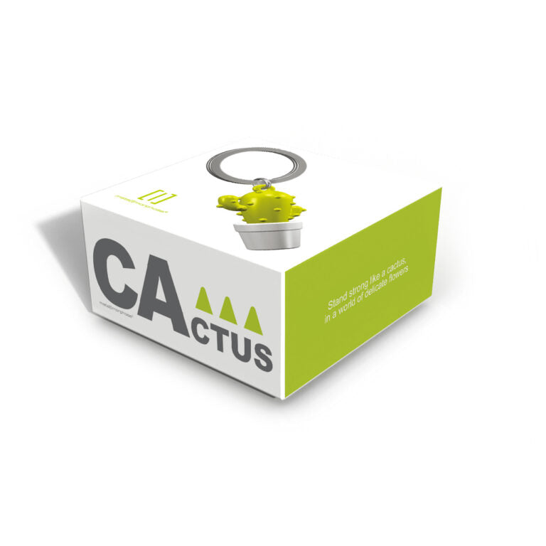 Stainless Steel Keyring - Cactus