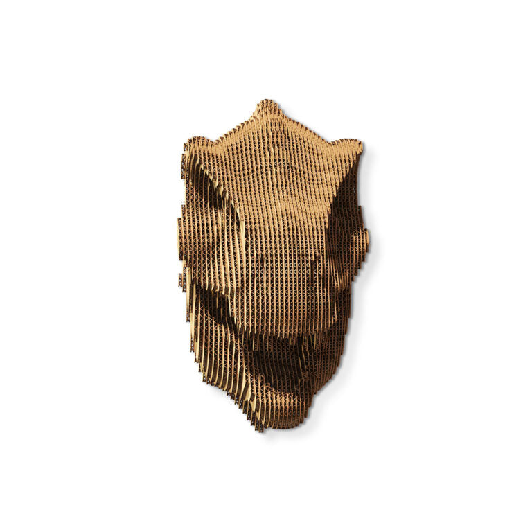 3D Wall Mountable Dinosaur Cardboard Structure Puzzle
