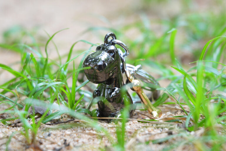 Stainless Steel Keyring - Tyrannosaurus Rex