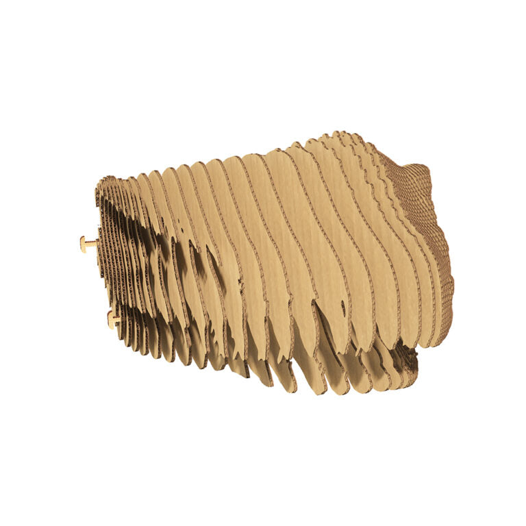 3D Wall Mountable Dinosaur Cardboard Structure Puzzle