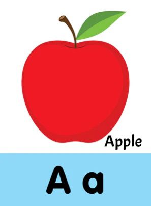 Alphabet Flash Cards Wipe Clean Learning Set