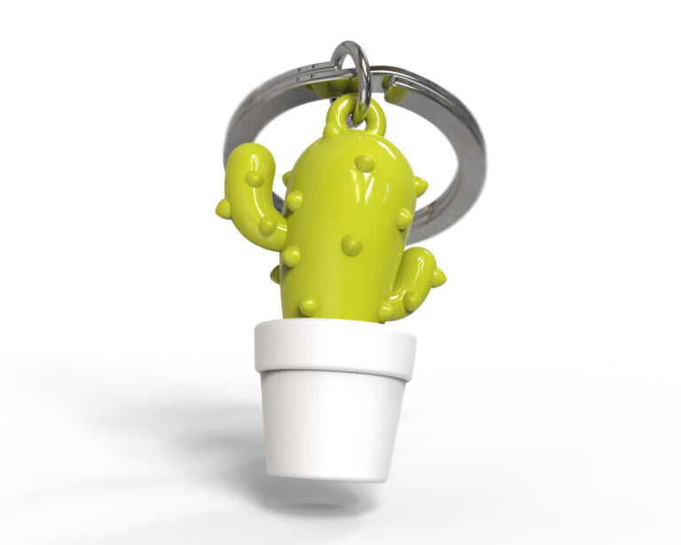 Stainless Steel Keyring - Cactus