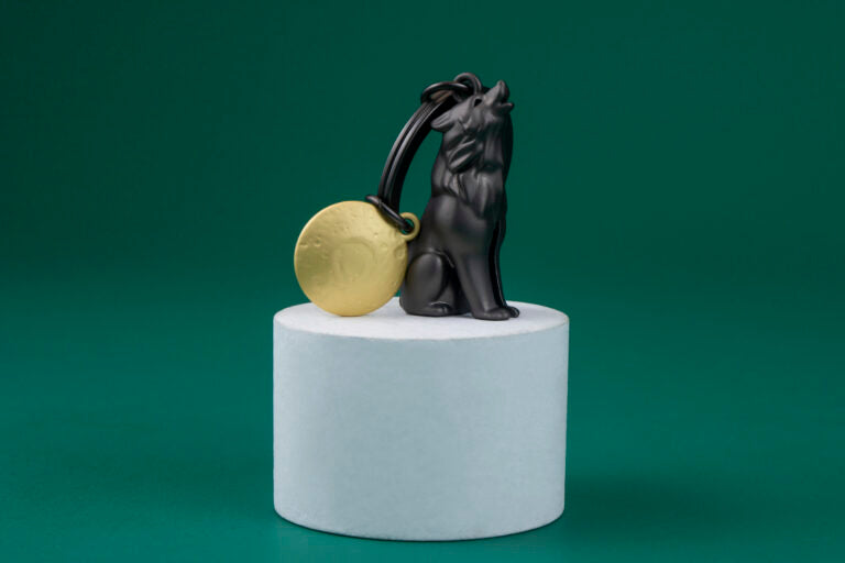 Stainless Steel Keyring - Wolf Pack