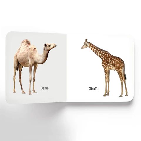 Animals - Lovely Board Book