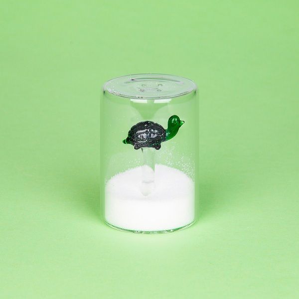 Atlantis Borasilicate Salt Shaker (Assorted)