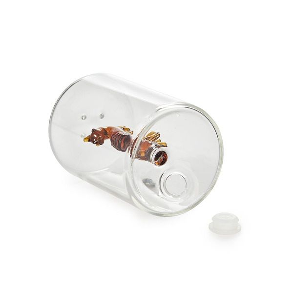 Atlantis Borasilicate Salt Shaker (Assorted)