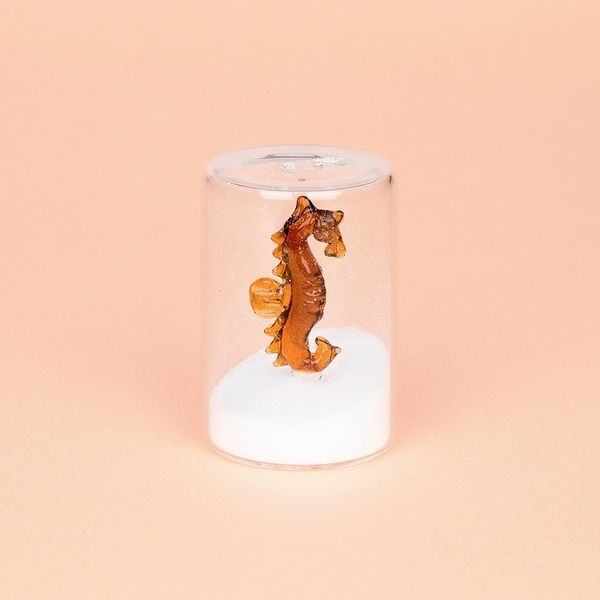 Atlantis Borasilicate Salt Shaker (Assorted)