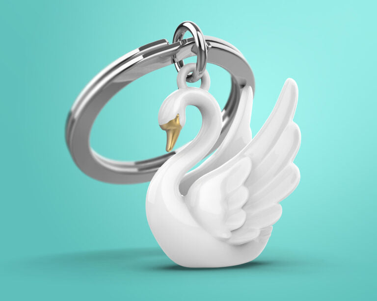 Stainless Steel Keyring - Graceful Swan