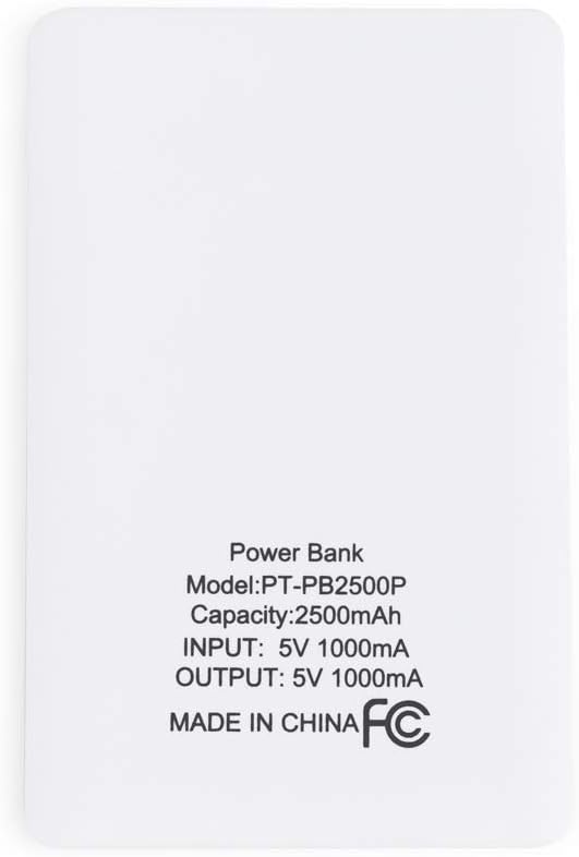 Pantone Turquoise Fast Charge Powerbank - 2500 mah
