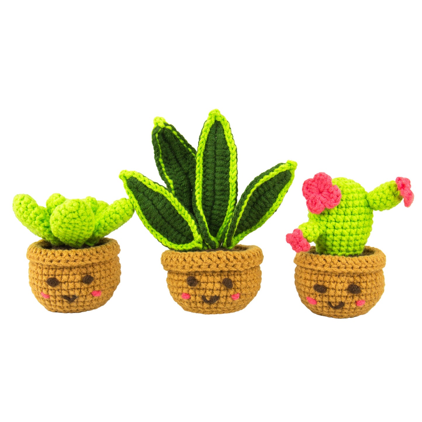 Mini Houseplants Crochet Kit