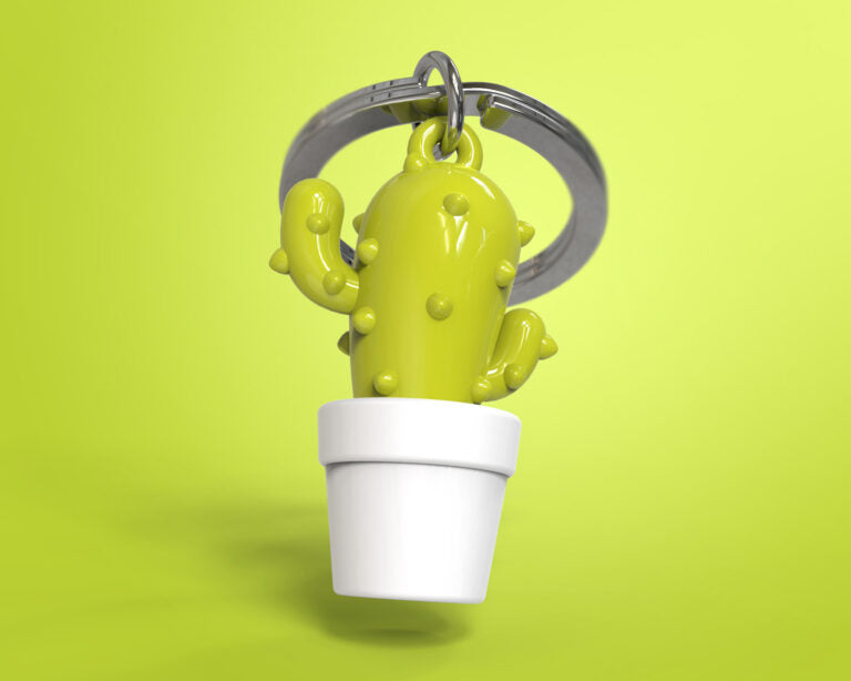 Stainless Steel Keyring - Cactus