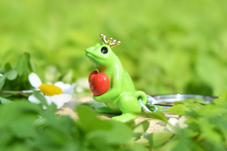 Stainless Steel Keyring - Prince Frog