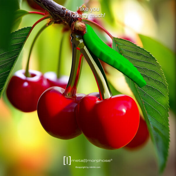 Stainless Steel Keyring - Cherry
