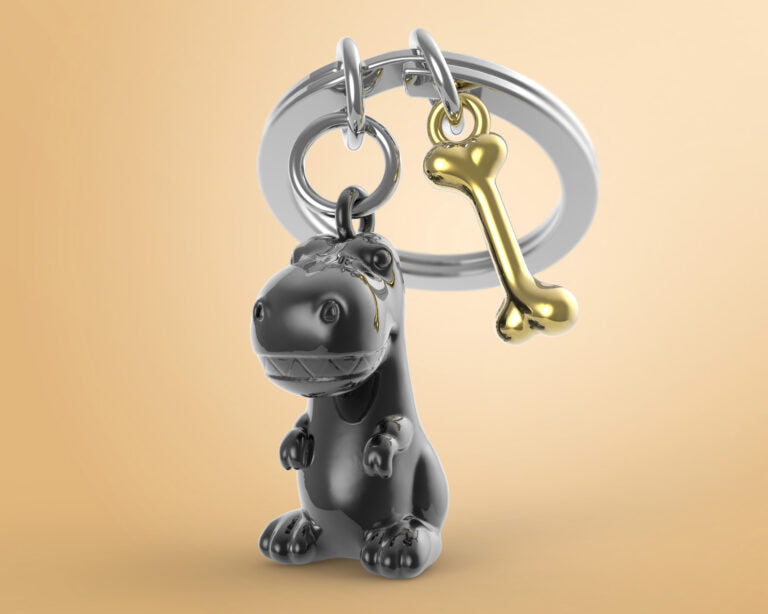 Stainless Steel Keyring - Tyrannosaurus Rex