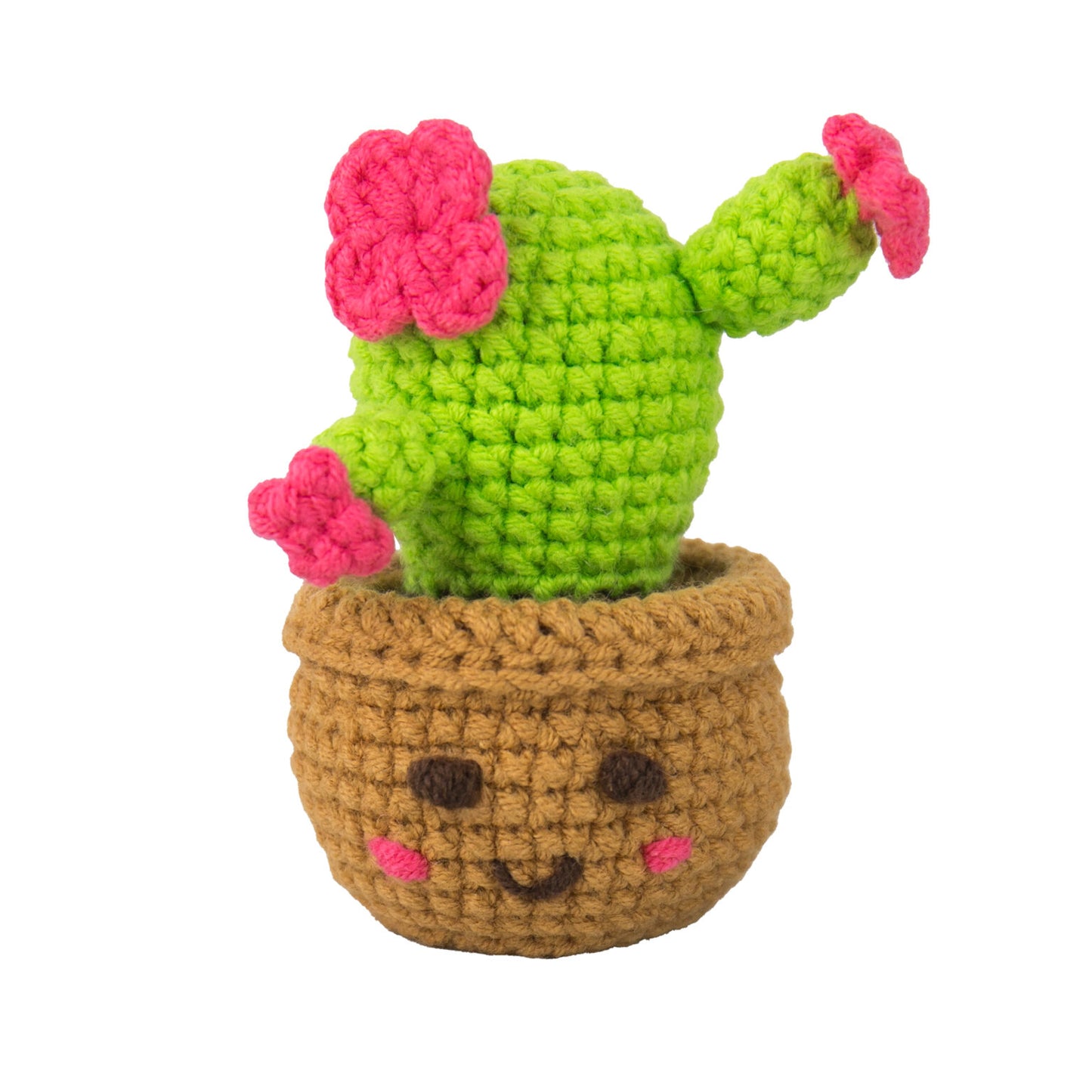 Mini Houseplants Crochet Kit
