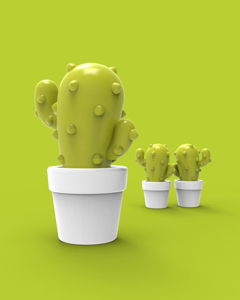 Stainless Steel Keyring - Cactus