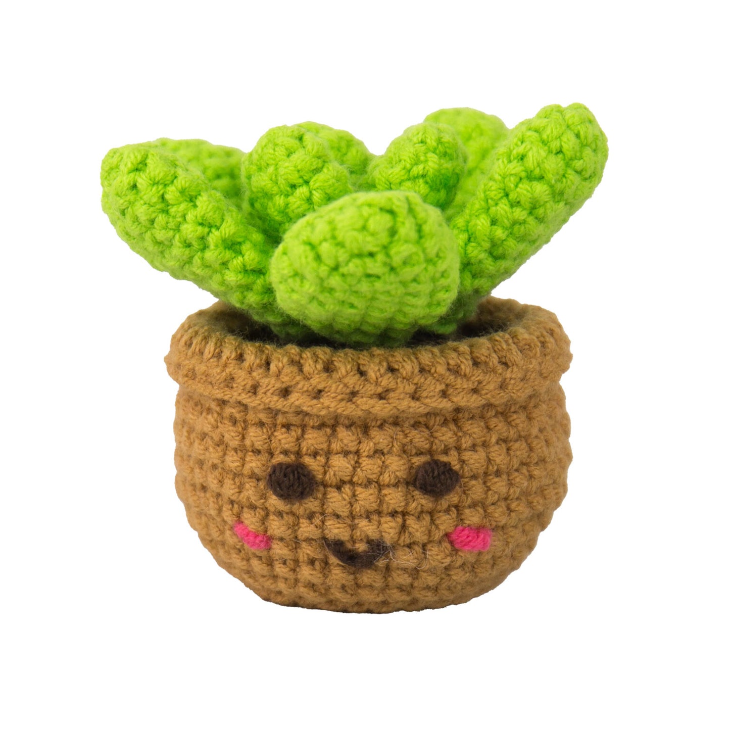 Mini Houseplants Crochet Kit
