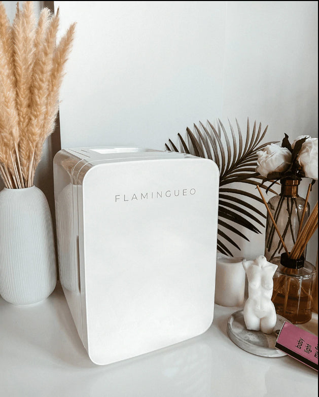 Flamingueo Retro Portable Cooler (10L)