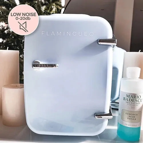 Flamingueo Retro Portable Mini Fridge (4L)