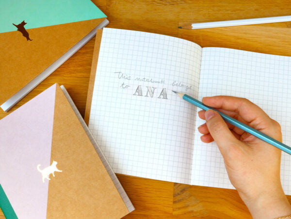 Kraft Cat Notebooks (Set of 3)