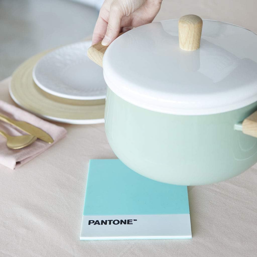 Pantone Heat-Resistant Silicone Trivet