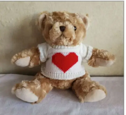 Valentine Sweater Plush Bear (20cm)