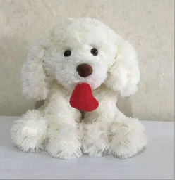 Valentine Heart Plush Teddy (25cm)