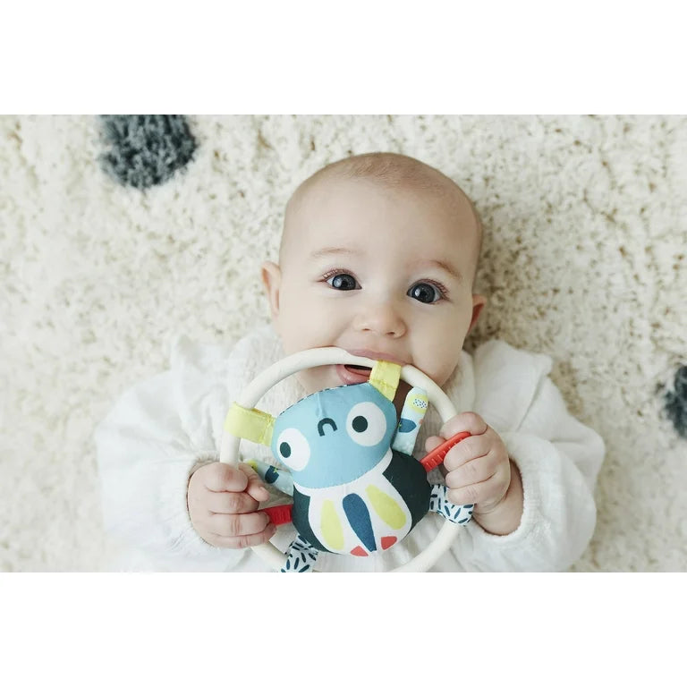 Spider Rattle