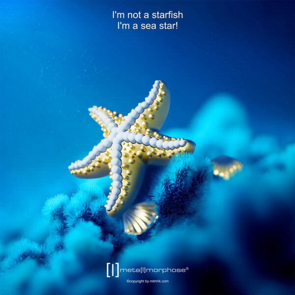 Stainless Steel Keyring - Starfish